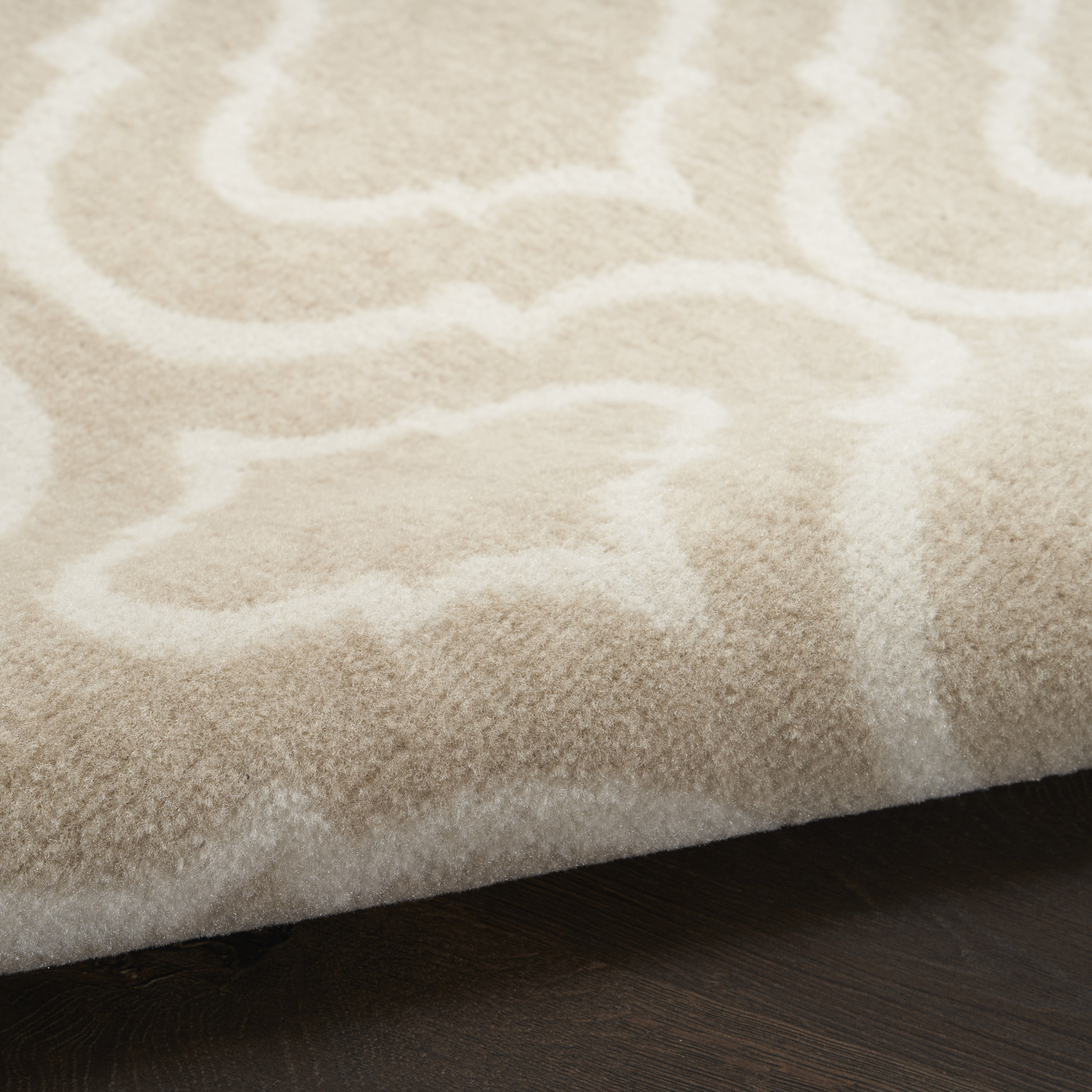Nourison Jubilant 5'3" x 7'3" Beige Contemporary Indoor Rug