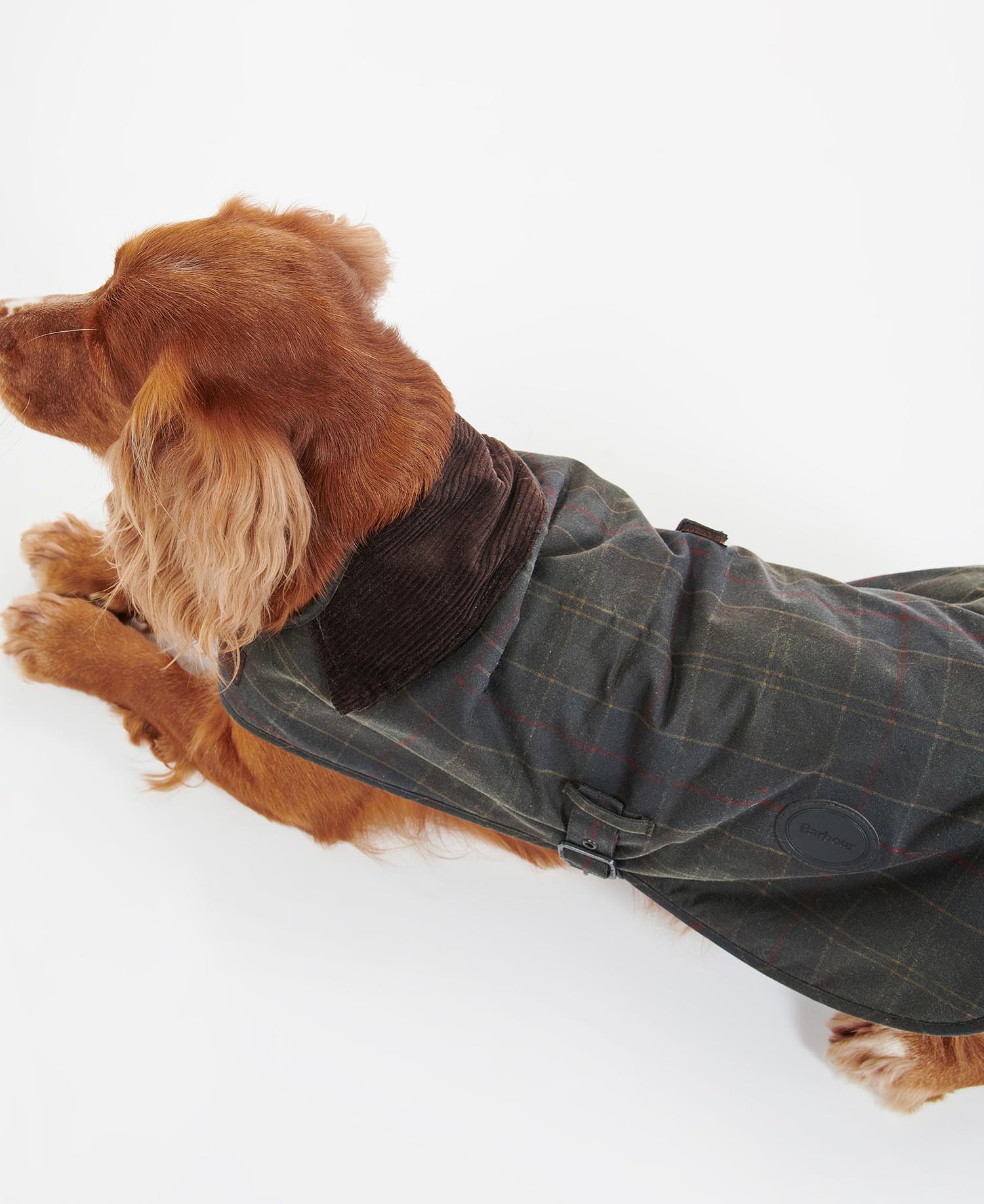 Hundemantel Tartan Wax image number 2