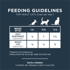 Raw Meals Freeze-Dried Pollock Cat Food - Instinct Pet Food