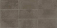 Arte Brown 12×24 Field Tile Matte Rectified