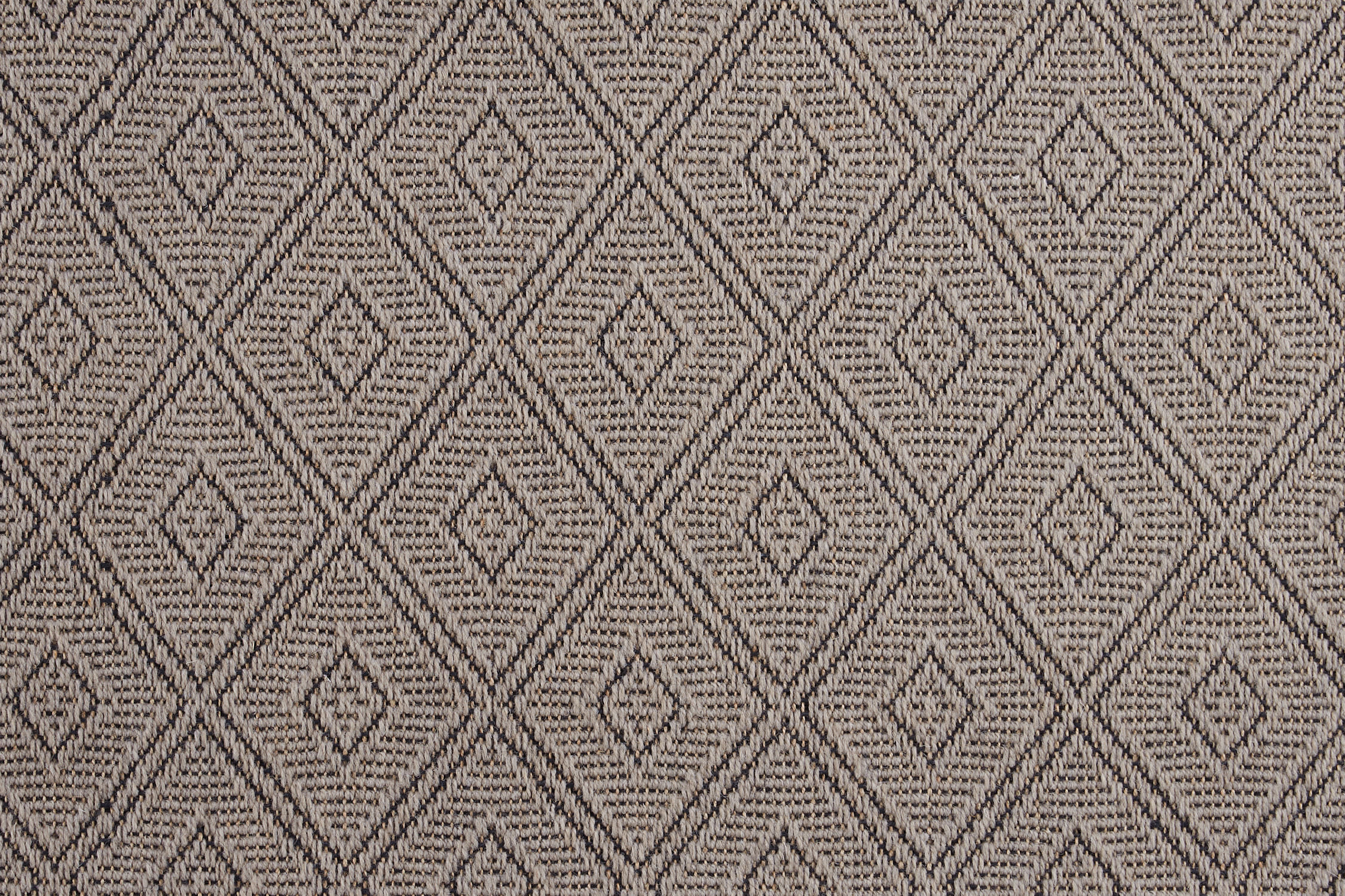 color-rug1