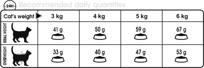 Feeding Guide