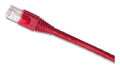 eXtremeâ„¢ Cat 6 24 AWG U/UTP Stranded RJ-45 to RJ-45 8-Position Copper Patch Cord with Modular Plug 1 ft. Red