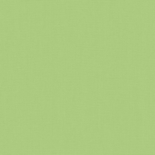 Acacia Green Vertical blind