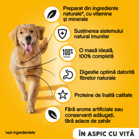 uydmindoocg7pxuobsc7.jpg