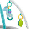 Enchanted Elephants Activity Gym™
