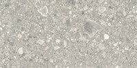 Piccadilly Aggregate 24×47 Field Tile Matte Rectified