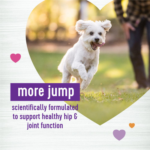 The benefits of Wellness Supplements Hip & Joint