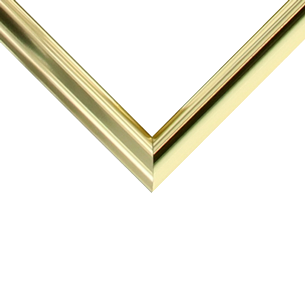 Frame Moulding - Nielsen Gold 5/16 inches | Larson-Juhl