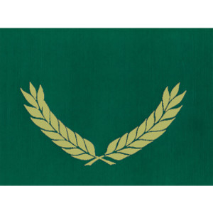 Gold Foil Stamped Green Certificate Folders, 10" x 13", Pack of 30
