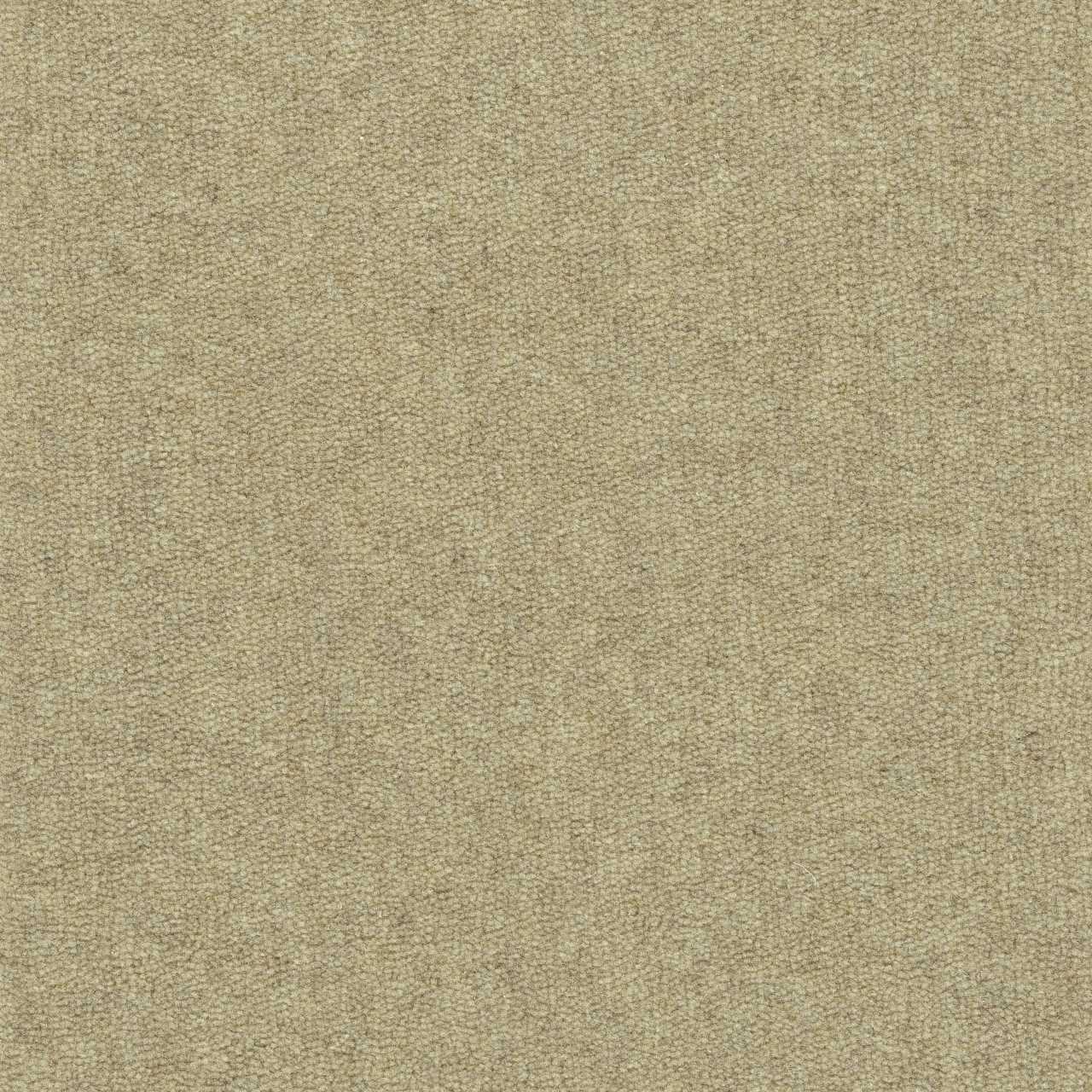 color-rug1