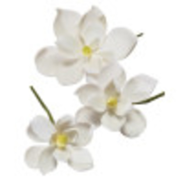 White Magnolia Assortment Gum Paste Flowers | DecoPac