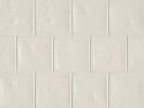Tongue in Chic Don’T Be A Shell Out 5×5 Wall Tile Gloss