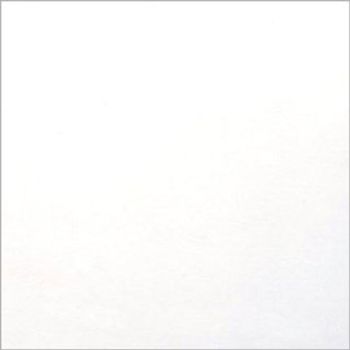 A plain white square surface (paper or wall) fills the frame, uniformly lit and featureless, faintly bordered by a thin gray edge and presented in neutral, even lighting.