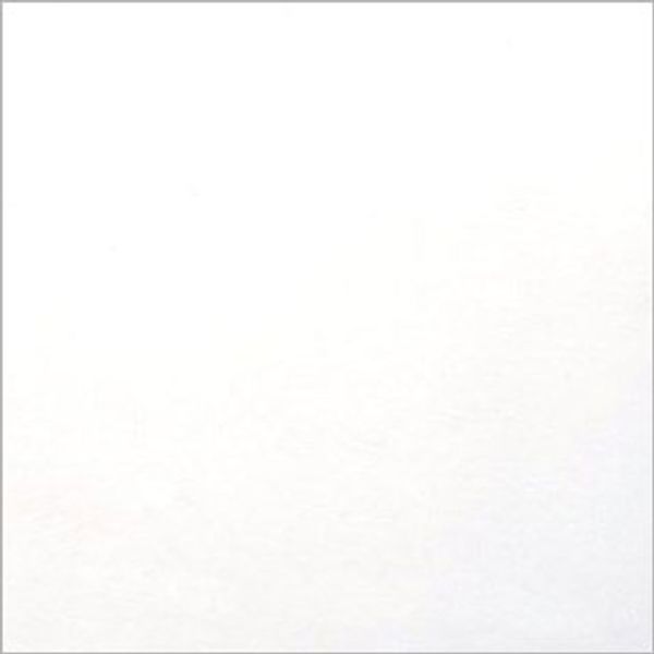 A plain white square surface (paper or wall) fills the frame, uniformly lit and featureless, faintly bordered by a thin gray edge and presented in neutral, even lighting.