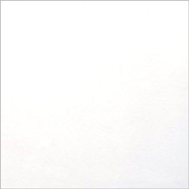 Pure White Shutter