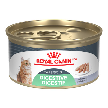Royal Canin Feline Care Nutrition Digestive Care Loaf In Sauce Canned Cat Food