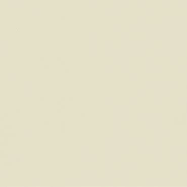 Pale beige wall or canvas (object), filling the frame uniformly (action), in neutral, even light suggesting a studio or digital background (context).