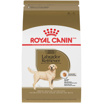 Royal Canin Breed Health Nutrition Labrador Retriever Adult Dry Dog Food