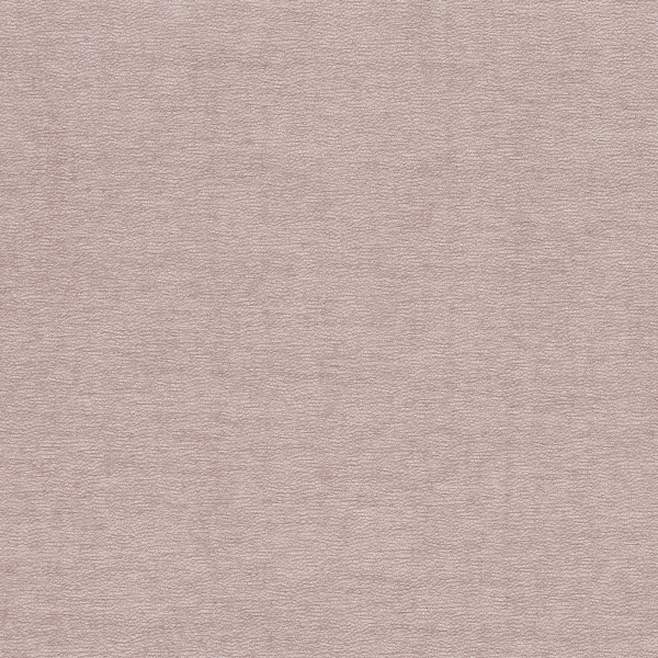 Pale dusty-pink textured surface covering the frame, showing fine pebble-like grain; lies flat and evenly lit, with no visible seams, edges, or other objects.