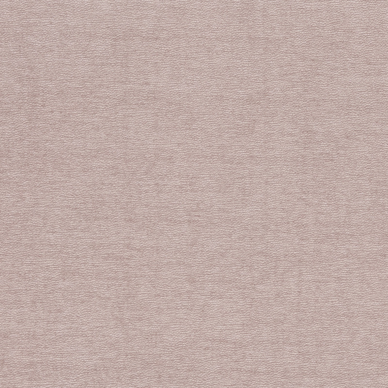 Pale dusty-pink textured surface covering the frame, showing fine pebble-like grain; lies flat and evenly lit, with no visible seams, edges, or other objects.