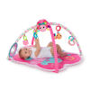 Bright Butterfly Activity Gym