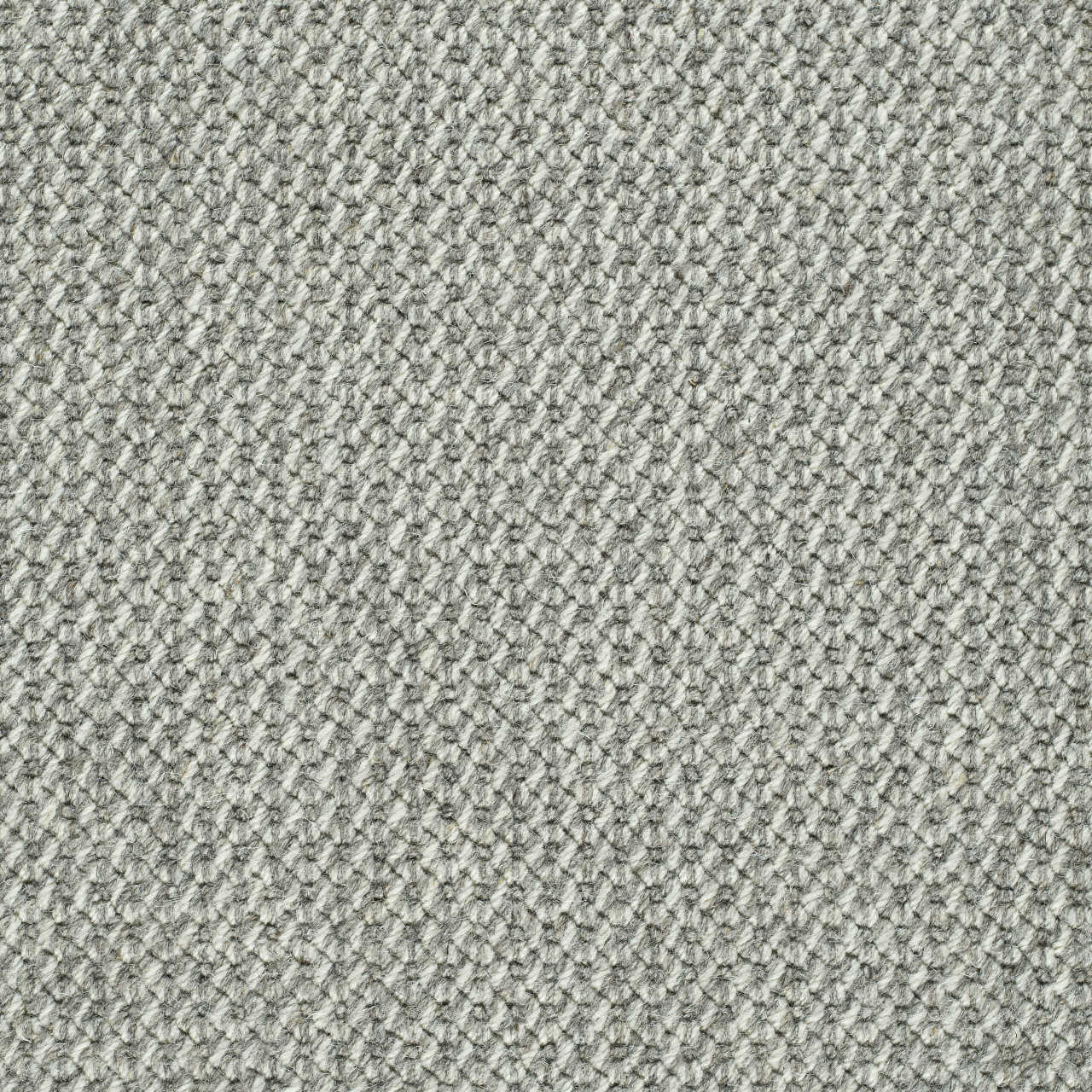 color-rug1