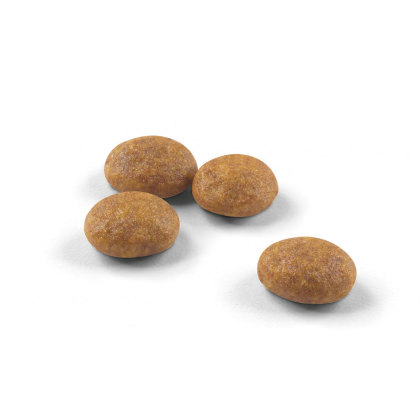 Outdoor kibble