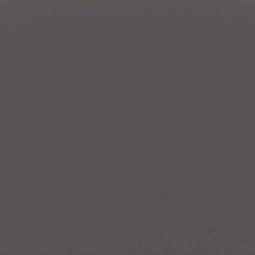 Plain dark-gray textured wall fills the frame, presenting a uniform, dimly lit surface with fine grain; no visible windows, light source, or furnishingsâ€”neutral indoor background.