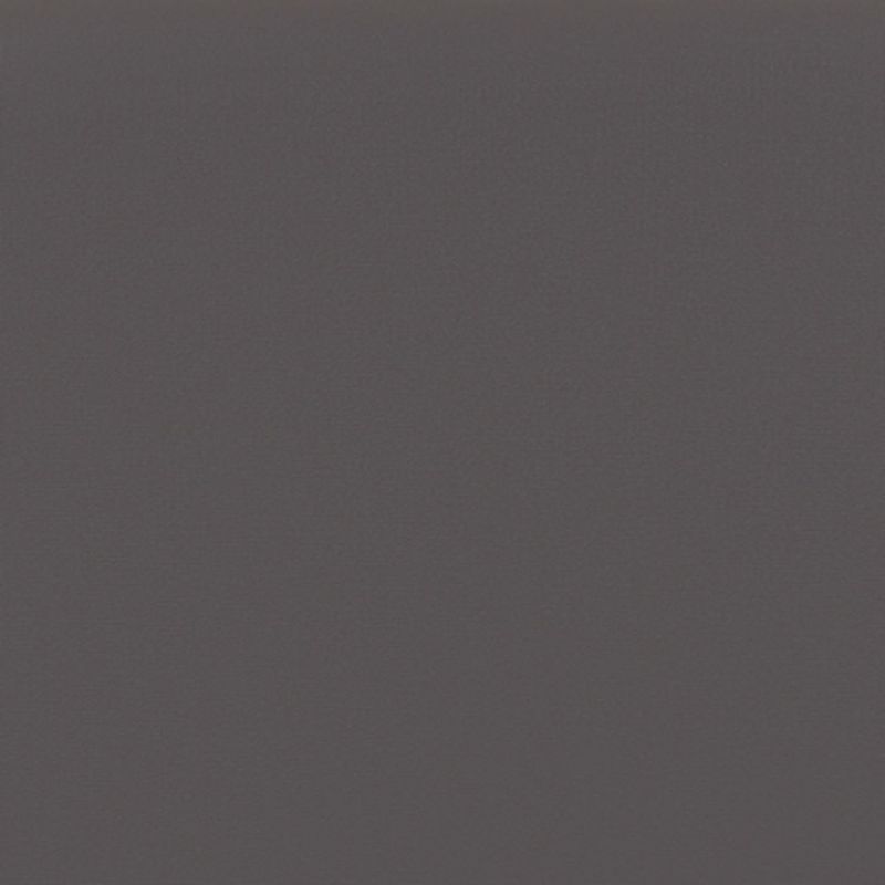 Plain dark-gray textured wall fills the frame, presenting a uniform, dimly lit surface with fine grain; no visible windows, light source, or furnishingsâ€”neutral indoor background.