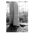 Heavy Duty SCH 40 Pole Riser System, 2 in.