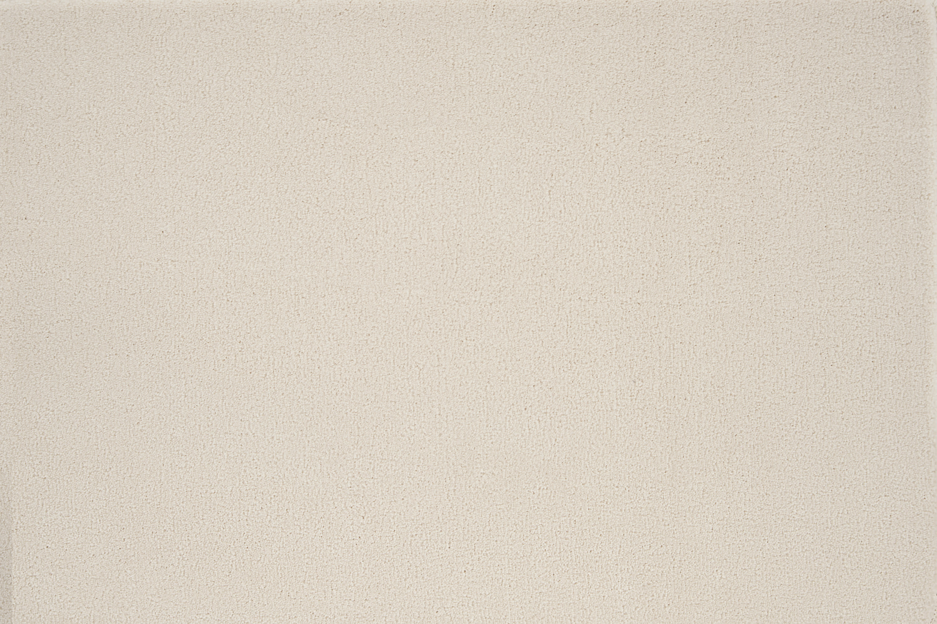 color-rug1