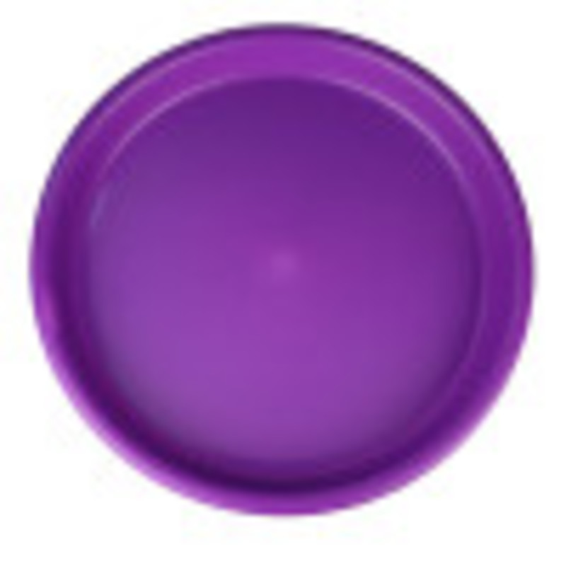 Sand and Party Tray, Purple