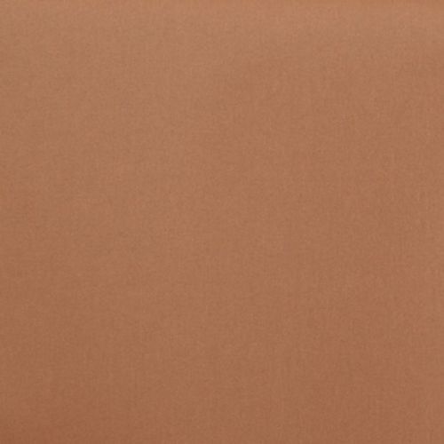 Tan-brown finely textured surface fills the entire frame, showing subtle mottling and uniform lighting; no visible objects, edges, or contextual details to indicate room or setting.