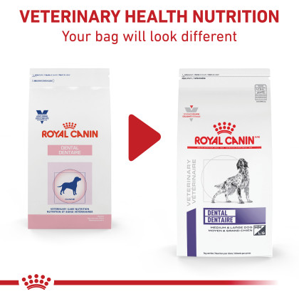 Royal Canin Veterinary Diet Canine Dental Medium and Large Dog Dry Food