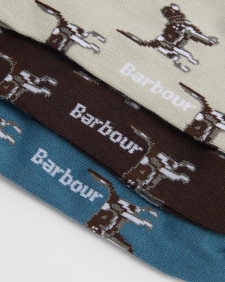 Pointer Dog Socks Gift Box 