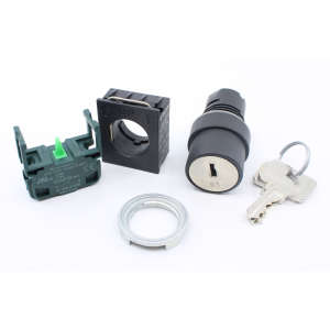 Complet Key Switch (Elfi D.22)