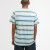 Houstead Striped T-Shirt Pale Appleswatch
