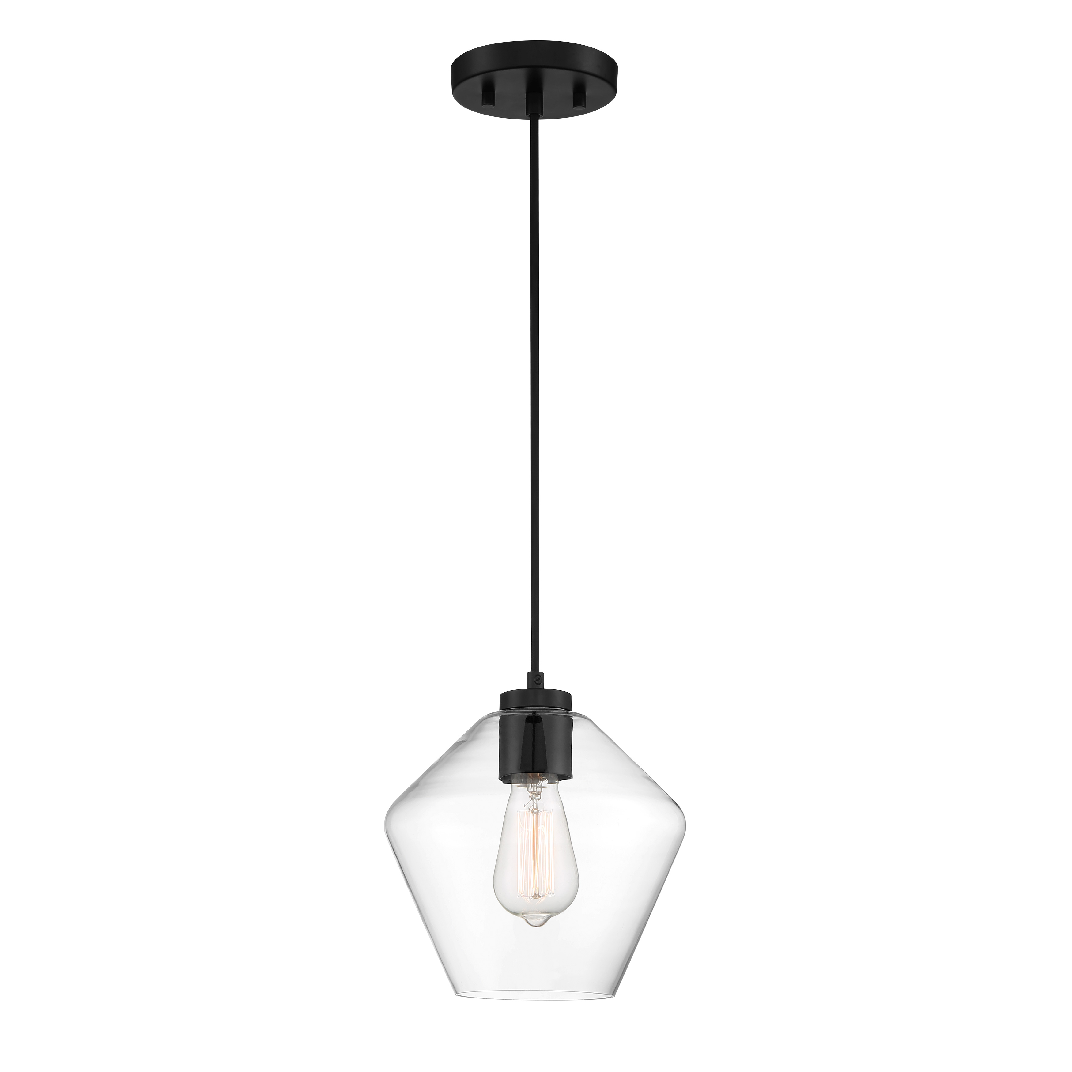 Clarity - 1 Light Pendant