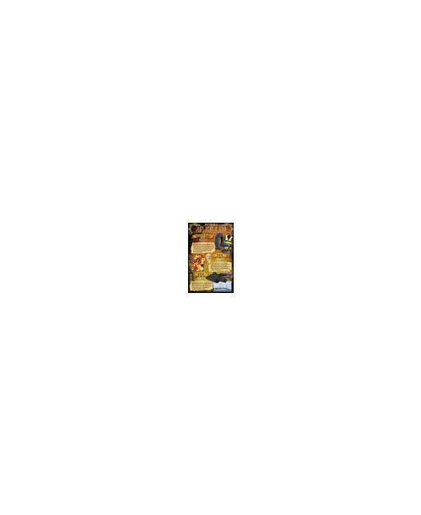 s--dTDzdEHy--/iwz7kqe42j8cu9o1p6at.jpg
