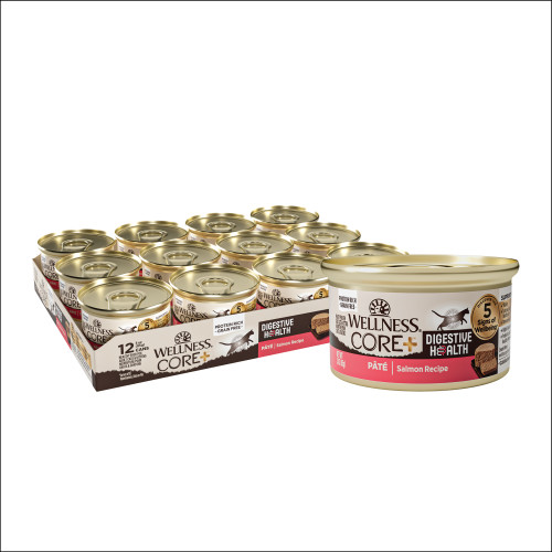 Wellness CORE+ Digestive Health Salmon Front packaging