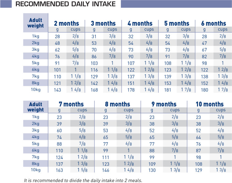 Pediatric Junior Small Dog Food ROYAL CANIN®