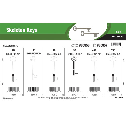 Skeleton Key Assortment