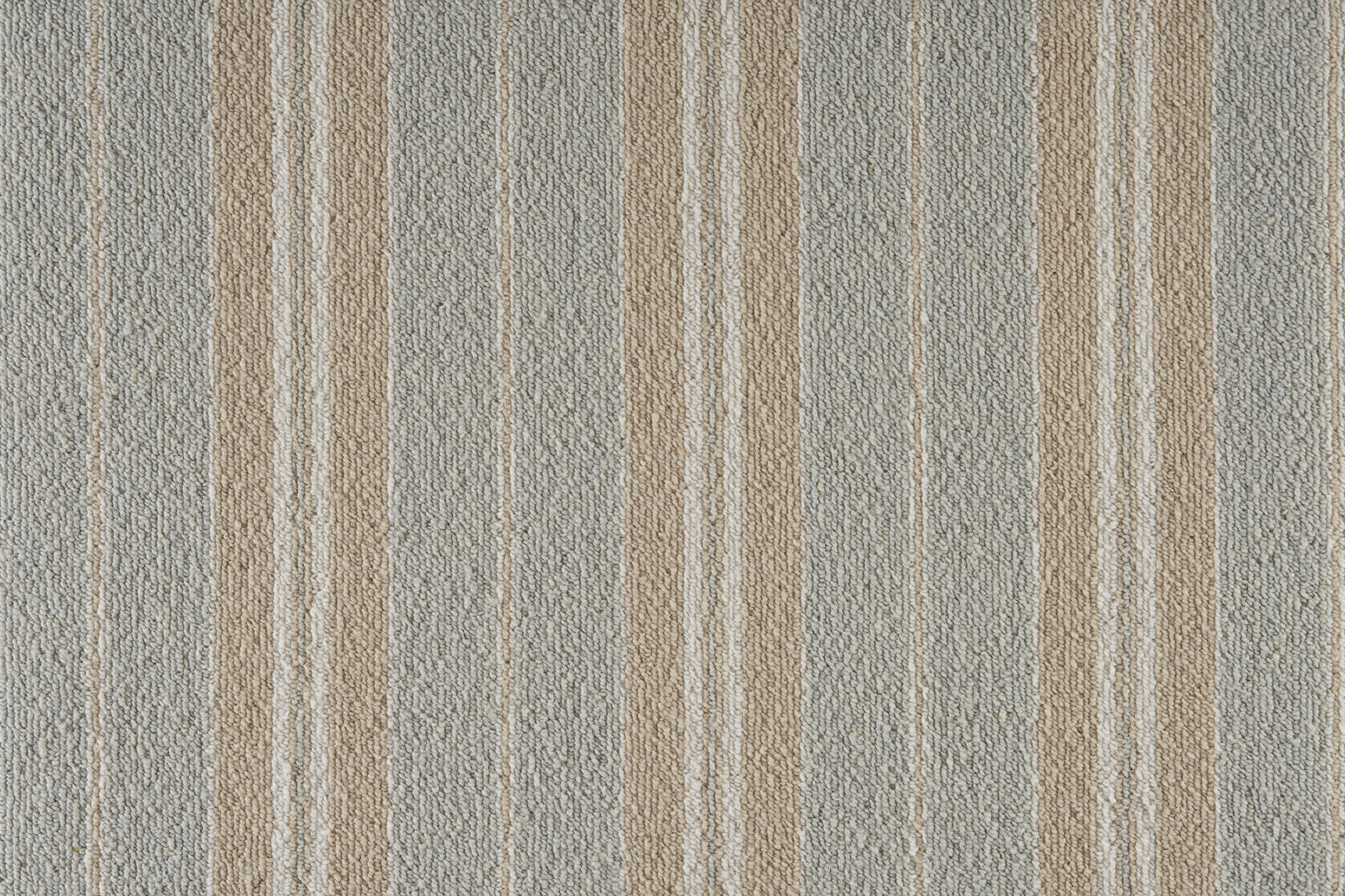 color-rug1