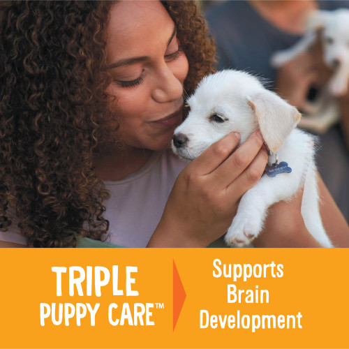 The benefits of Good Dog Happy Puppy Soft Treats Lamb & Salmon