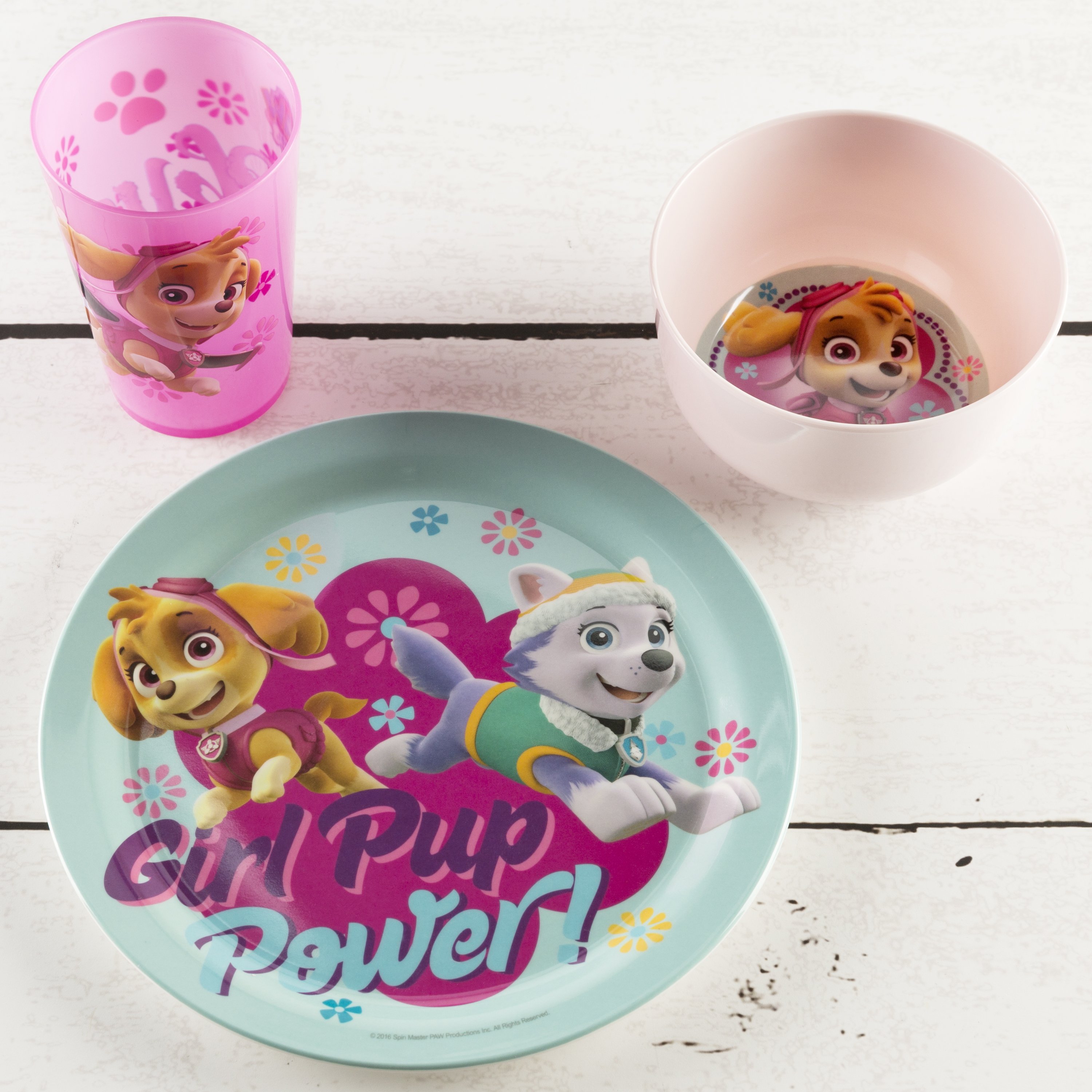 Paw Patrol Dinnerware Set, Skye and Everest, 5-piece set