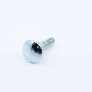 Screw