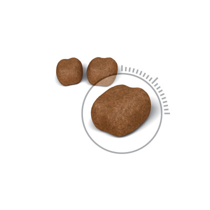 Oral Care kibble