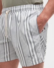 Decklam Striped Swim Shorts 