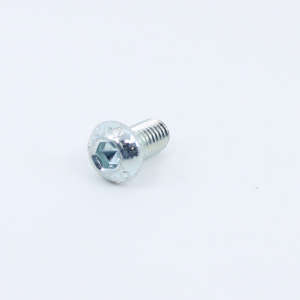 Screw